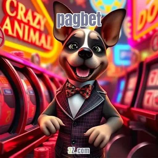 pagbet - Bingo Online